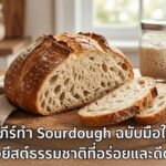 初学者酸种面包（Sourdough）圣经：美味且有益肠道的天然酵母面包