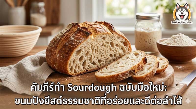 Sourdough Bible for Beginners: Delicious Natural Yeast Bread That’s Good for the Gut