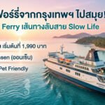 นั่งเรือเฟอร์รี่จากกรุงเทพฯ ไปสมุย! Seahorse Ferry เส้นทางลับสาย Slow Life ราคาโปรฯ เริ่มต้นที่ 1,990 บาท พร้อม Onsen และที่พัก Pet Friendly