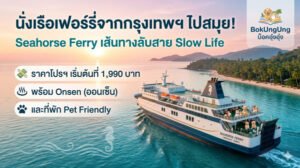 นั่งเรือเฟอร์รี่จากกรุงเทพฯ ไปสมุย! Seahorse Ferry เส้นทางลับสาย Slow Life ราคาโปรฯ เริ่มต้นที่ 1,990 บาท พร้อม Onsen และที่พัก Pet Friendly