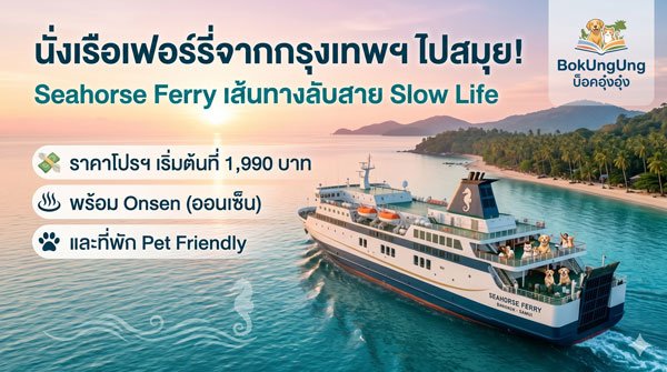 Bangkok to Koh Samui by Ferry! Seahorse Ferry: The Hidden Slow Life Route. Promo starts at 1,990 THB with Onsen & Pet-Friendly Rooms.